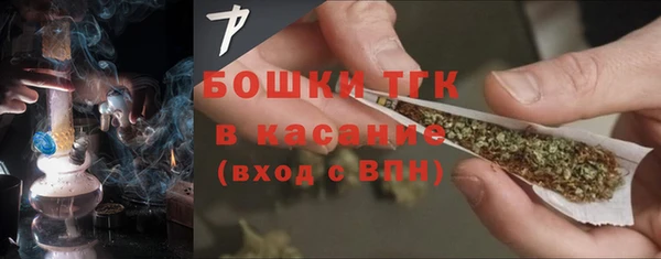 стаф Надым