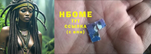 стаф Надым