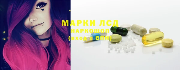 стаф Надым