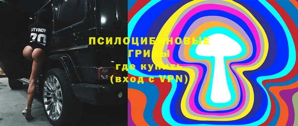 стаф Надым