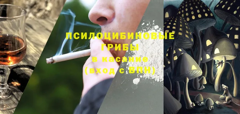 Галлюциногенные грибы MAGIC MUSHROOMS  Иркутск 