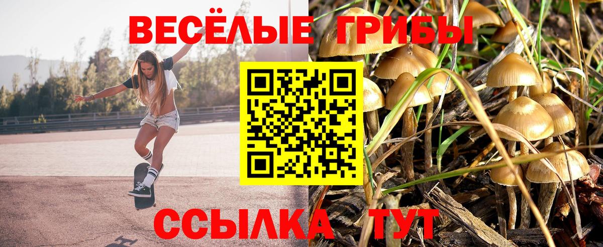 Галлюциногенные грибы Psilocybine cubensis  Вход с VPN  Иркутск 